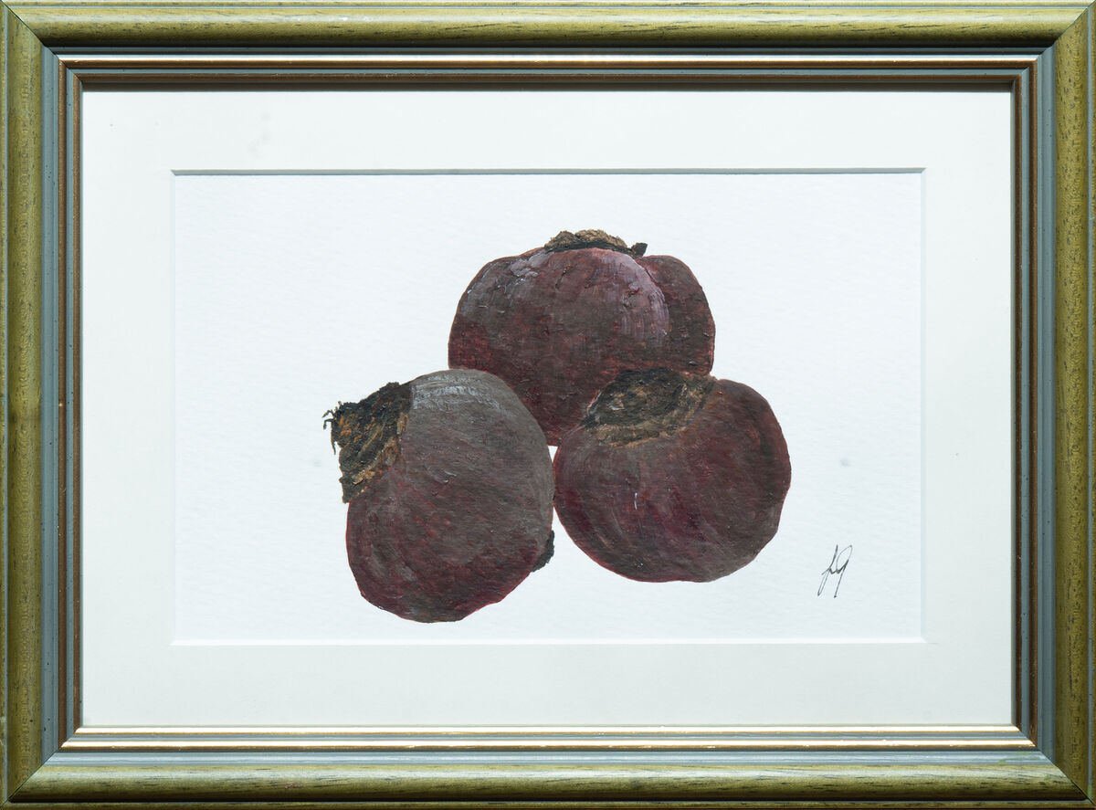 Beetroot banner