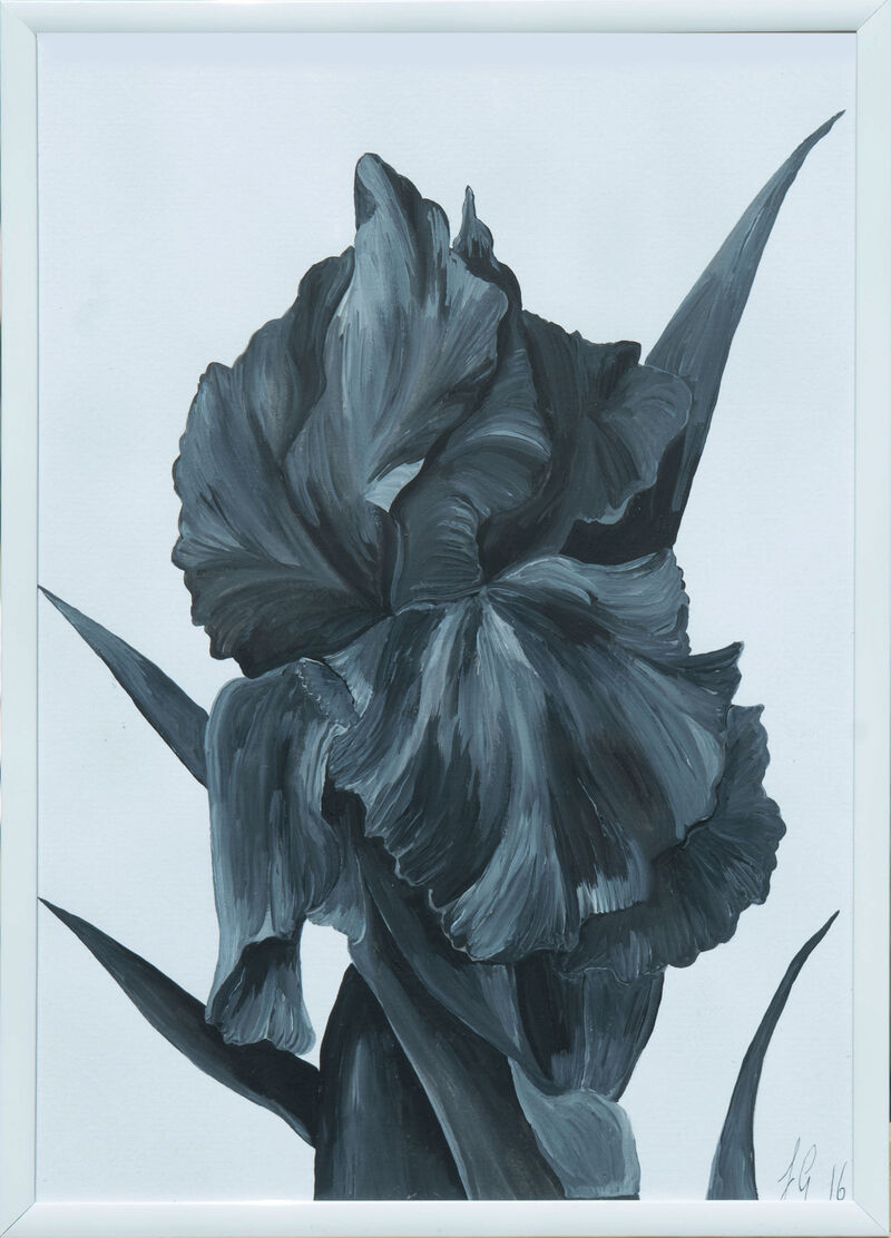 Black And White Iris 1 image