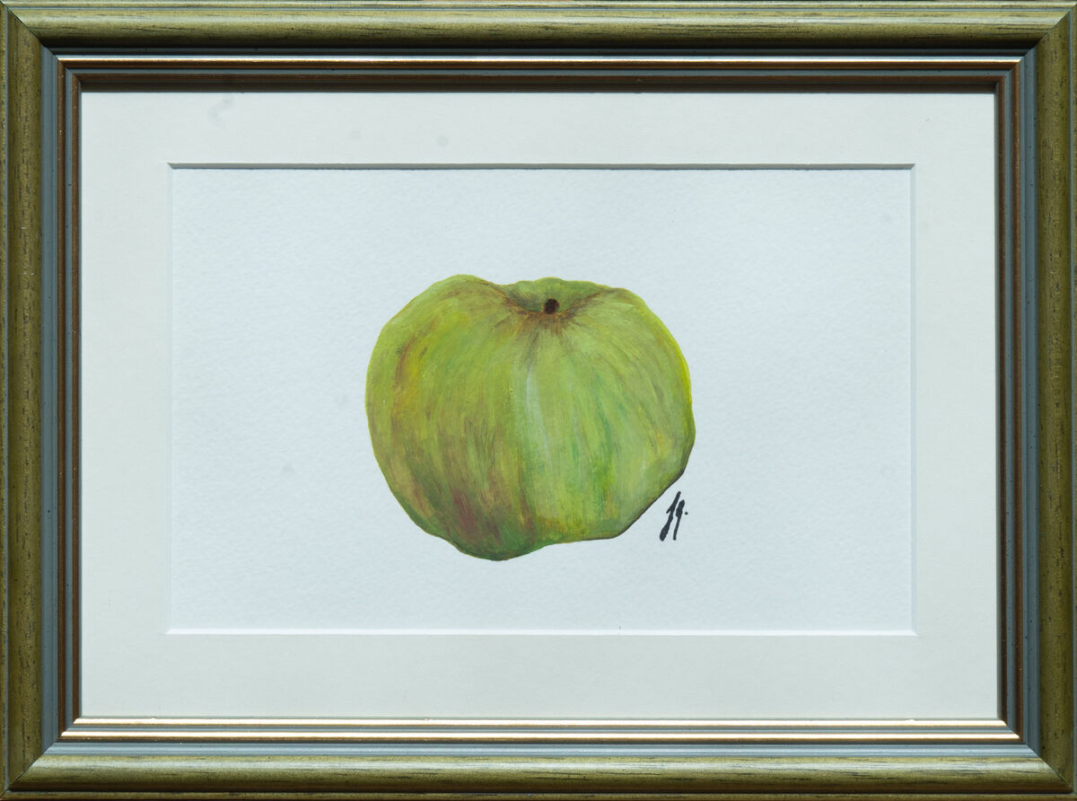 Cooking Apple banner