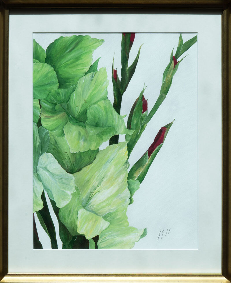 Green Gladioli image