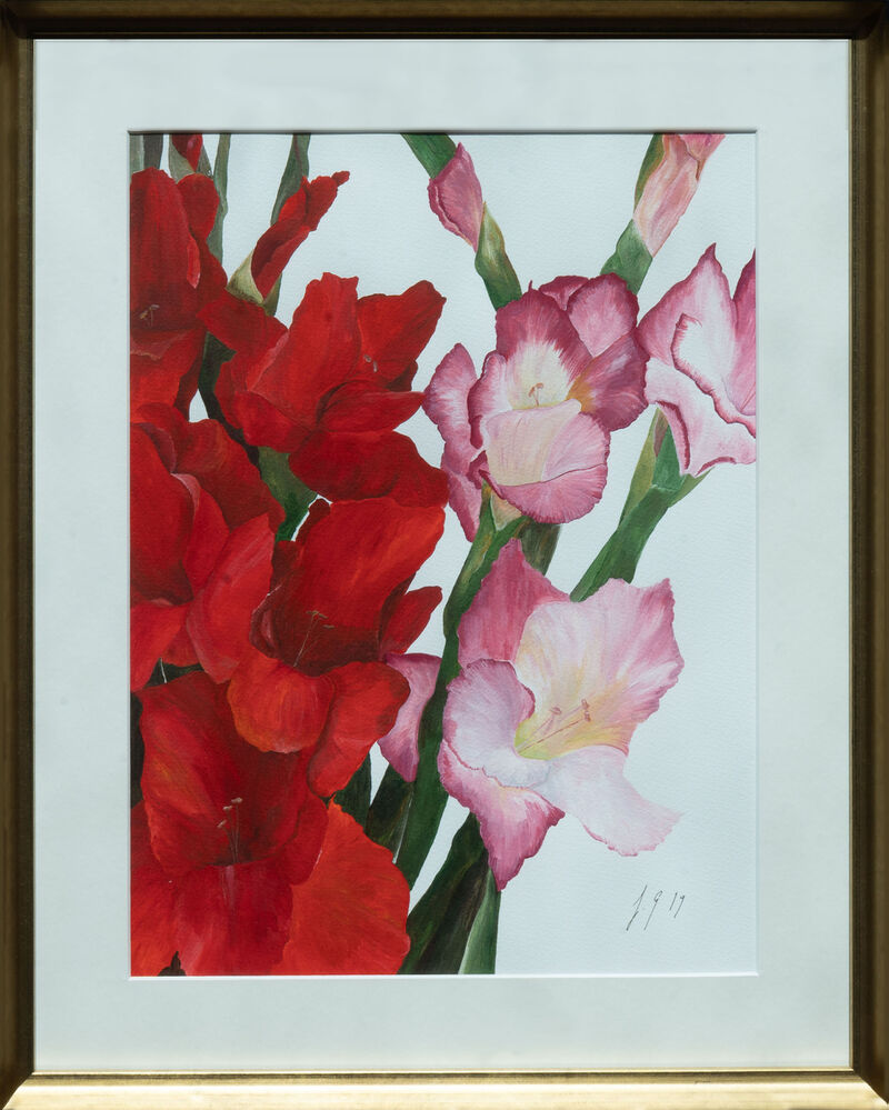 Pink And Red Gladioli image