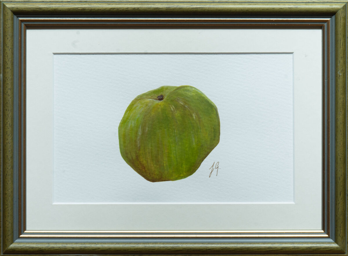 Green Apple banner