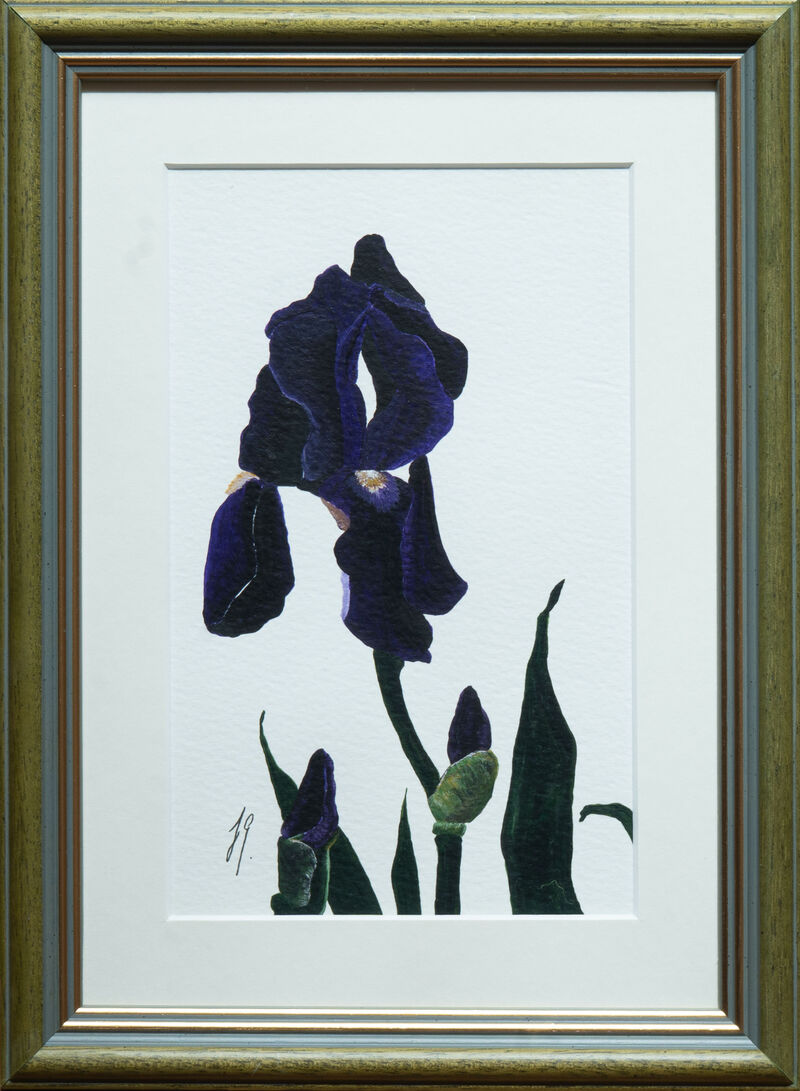 Iris 2 image