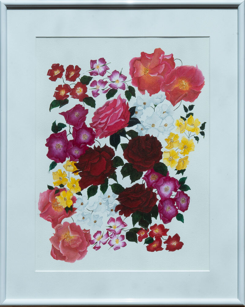 A Study Of Roses image