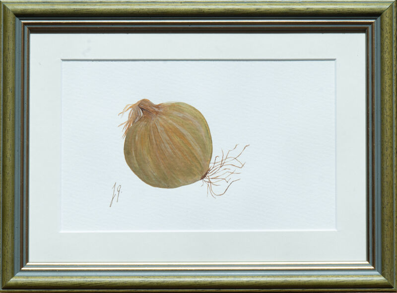 Onion image
